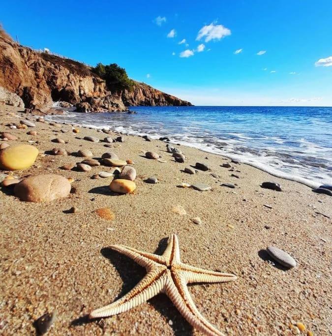 Hébergement de vacances Maison Cosy Entre Et Garrigue